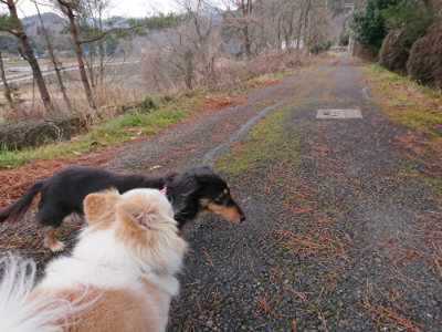 f:id:roukenhome-ann:20190210091820j:plain f:id:roukenhome-ann:20190210091820j:plain