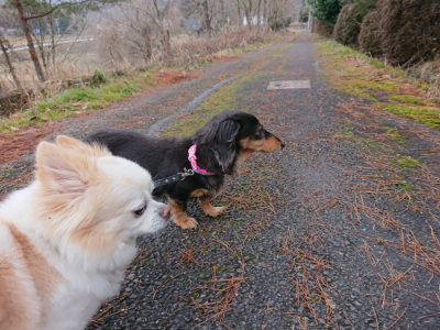 f:id:roukenhome-ann:20190210091827j:plain f:id:roukenhome-ann:20190210091827j:plain