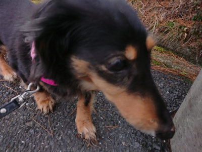 f:id:roukenhome-ann:20190210091832j:plain f:id:roukenhome-ann:20190210091832j:plain