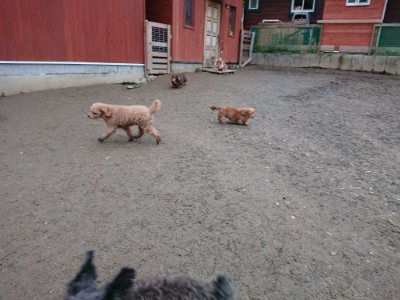 f:id:roukenhome-ann:20190210092247j:plain f:id:roukenhome-ann:20190210092247j:plain