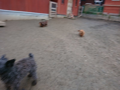 f:id:roukenhome-ann:20190210092251j:plain f:id:roukenhome-ann:20190210092251j:plain