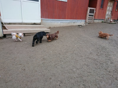 f:id:roukenhome-ann:20190210092257j:plain f:id:roukenhome-ann:20190210092257j:plain