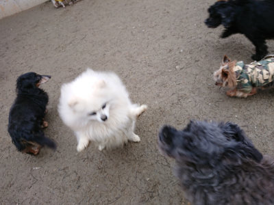f:id:roukenhome-ann:20190210092336j:plain f:id:roukenhome-ann:20190210092336j:plain