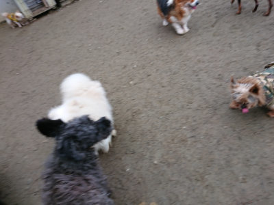 f:id:roukenhome-ann:20190210092418j:plain f:id:roukenhome-ann:20190210092418j:plain