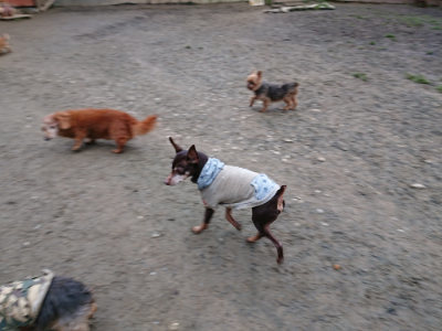 f:id:roukenhome-ann:20190210092452j:plain f:id:roukenhome-ann:20190210092452j:plain