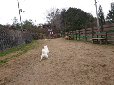f:id:roukenhome-ann:20190210092457j:plain f:id:roukenhome-ann:20190210092457j:plain