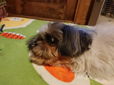 f:id:roukenhome-ann:20190210092729j:plain f:id:roukenhome-ann:20190210092729j:plain