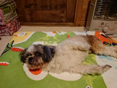 f:id:roukenhome-ann:20190210092735j:plain f:id:roukenhome-ann:20190210092735j:plain