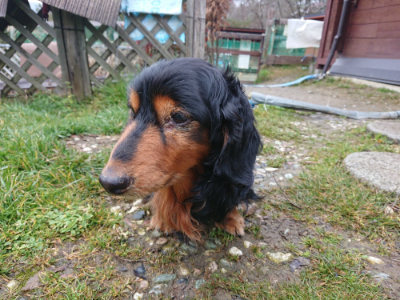 f:id:roukenhome-ann:20190210092755j:plain f:id:roukenhome-ann:20190210092755j:plain