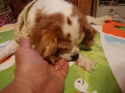 f:id:roukenhome-ann:20190210092800j:plain f:id:roukenhome-ann:20190210092800j:plain