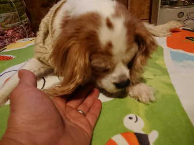 f:id:roukenhome-ann:20190210092805j:plain f:id:roukenhome-ann:20190210092805j:plain