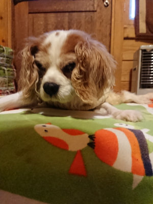 f:id:roukenhome-ann:20190210092826j:plain f:id:roukenhome-ann:20190210092826j:plain