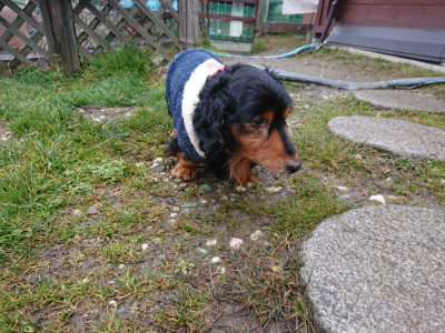 f:id:roukenhome-ann:20190210092841j:plain f:id:roukenhome-ann:20190210092841j:plain
