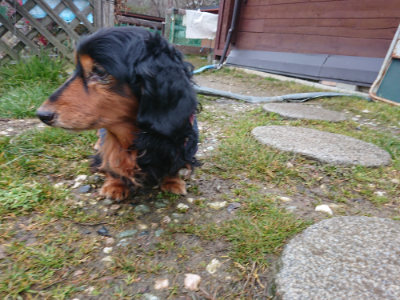 f:id:roukenhome-ann:20190210092847j:plain f:id:roukenhome-ann:20190210092847j:plain