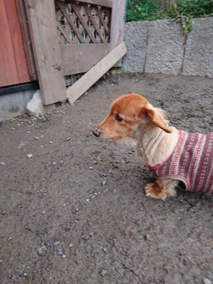 f:id:roukenhome-ann:20190210093346j:plain f:id:roukenhome-ann:20190210093346j:plain