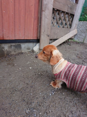 f:id:roukenhome-ann:20190210093352j:plain f:id:roukenhome-ann:20190210093352j:plain