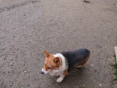 f:id:roukenhome-ann:20190210093402j:plain f:id:roukenhome-ann:20190210093402j:plain