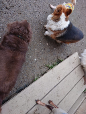 f:id:roukenhome-ann:20190210093443j:plain f:id:roukenhome-ann:20190210093443j:plain