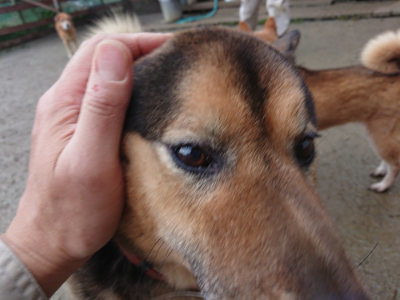f:id:roukenhome-ann:20190211220957j:plain