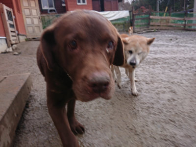 f:id:roukenhome-ann:20190211221036j:plain
