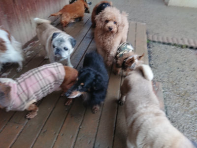 f:id:roukenhome-ann:20190211221042j:plain