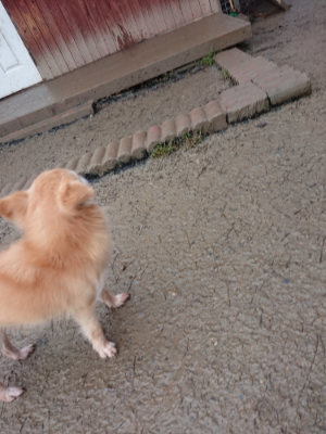 f:id:roukenhome-ann:20190211221132j:plain