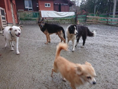 f:id:roukenhome-ann:20190211221244j:plain