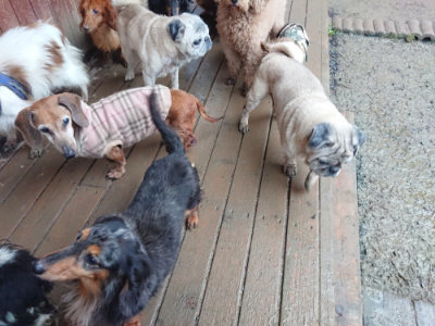 f:id:roukenhome-ann:20190211221328j:plain