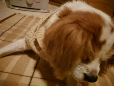 f:id:roukenhome-ann:20190211221617j:plain
