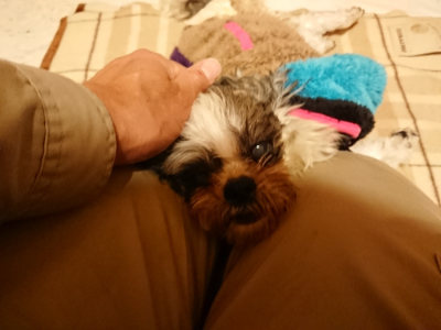 f:id:roukenhome-ann:20190211222934j:plain