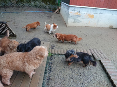 f:id:roukenhome-ann:20190211223035j:plain