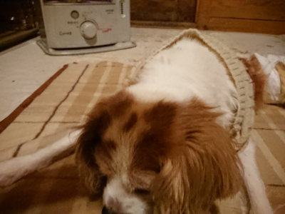 f:id:roukenhome-ann:20190211223050j:plain