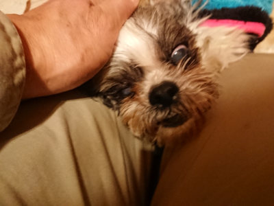f:id:roukenhome-ann:20190211224538j:plain