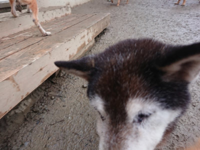 f:id:roukenhome-ann:20190211224558j:plain