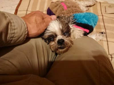 f:id:roukenhome-ann:20190211224616j:plain