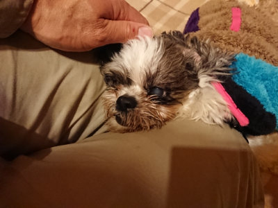 f:id:roukenhome-ann:20190211224626j:plain