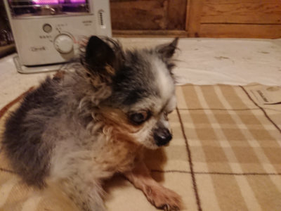 f:id:roukenhome-ann:20190211224741j:plain