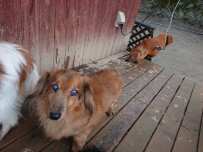 f:id:roukenhome-ann:20190211224754j:plain
