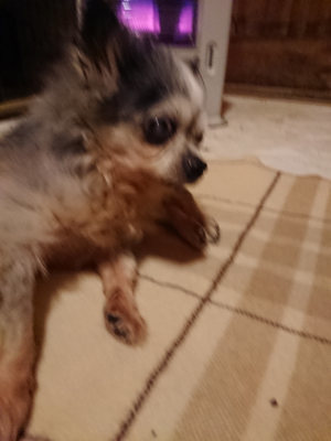 f:id:roukenhome-ann:20190211224844j:plain