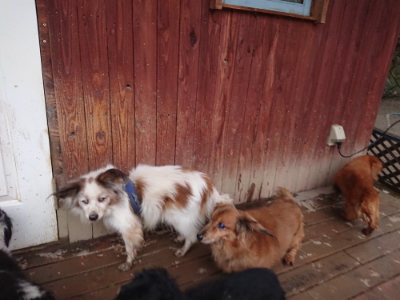 f:id:roukenhome-ann:20190211225557j:plain