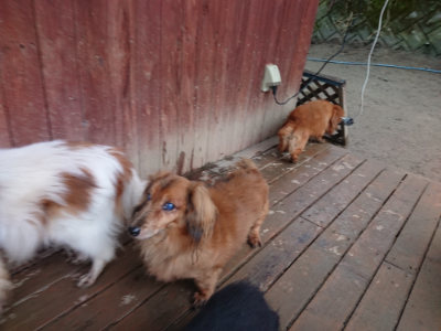 f:id:roukenhome-ann:20190211225604j:plain