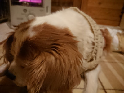 f:id:roukenhome-ann:20190211230512j:plain