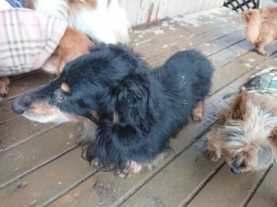 f:id:roukenhome-ann:20190211230603j:plain