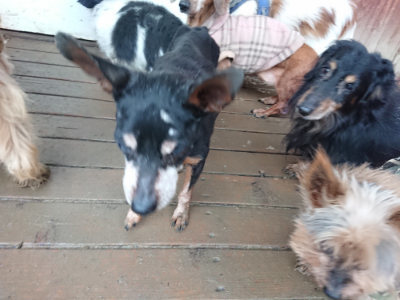 f:id:roukenhome-ann:20190211230653j:plain