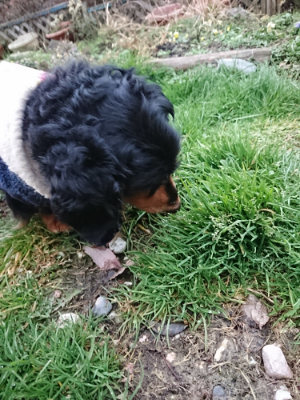f:id:roukenhome-ann:20190211230712j:plain