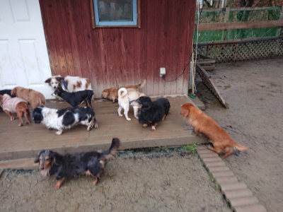 f:id:roukenhome-ann:20190211230841j:plain
