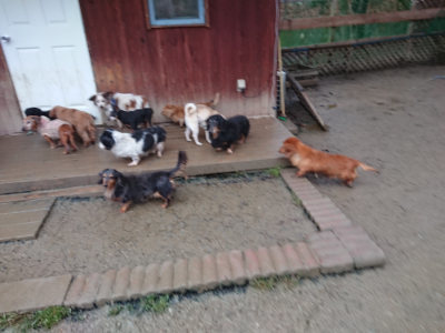 f:id:roukenhome-ann:20190211230911j:plain