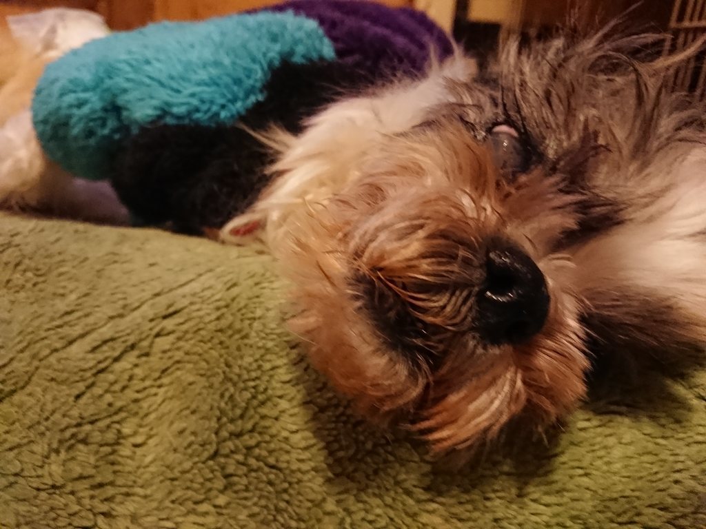 f:id:roukenhome-ann:20190214212218j:plain