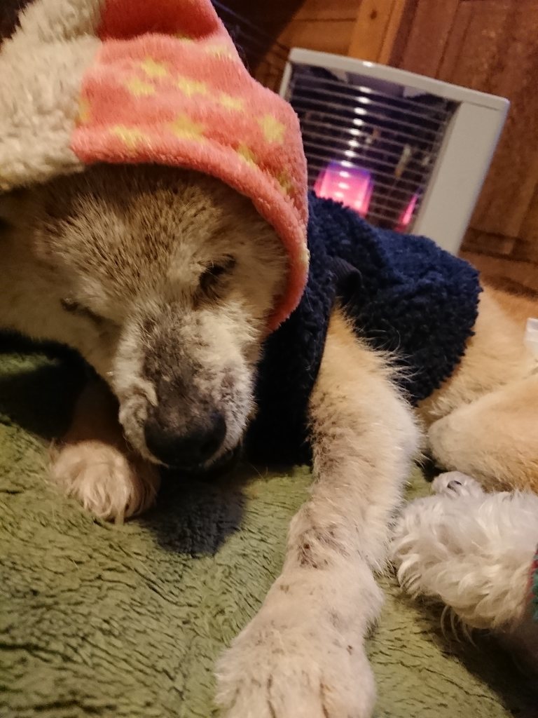 f:id:roukenhome-ann:20190214212436j:plain