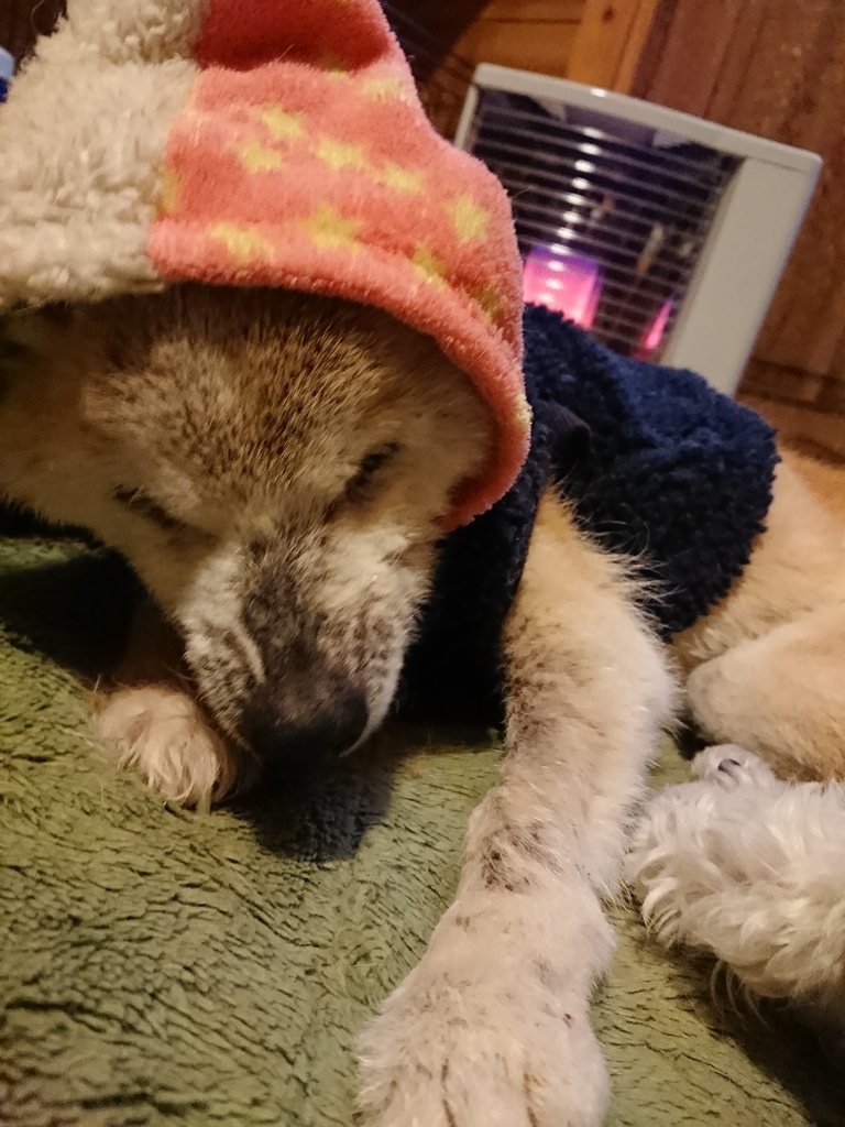 f:id:roukenhome-ann:20190214212529j:plain